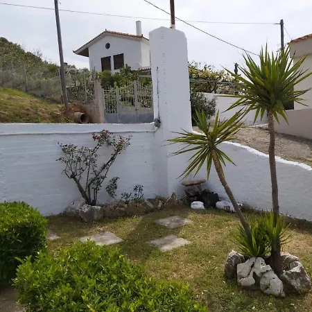 Giannis Stella * Mourteri